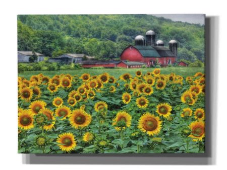 Sunflower Field  by Lori Deiter, Canvas Wall Art For Sale