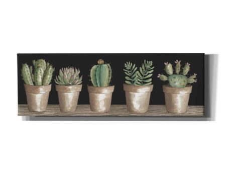 Cactus Row  by Cindy Jacobs, Canvas Wall Art Fashion