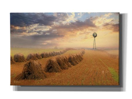 Amish Country Sunrise  by Lori Deiter Canvas Wall Art on Sale