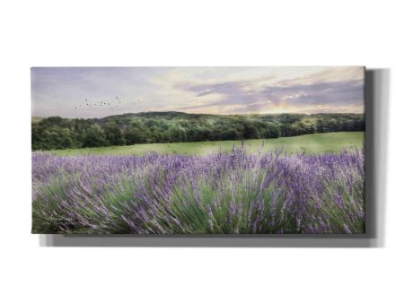 Lavender Fields  by Lori Deiter, Canvas Wall Art Supply